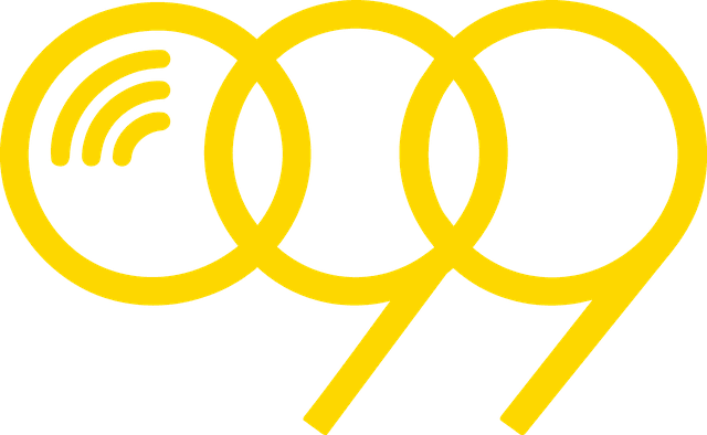 099 Primo